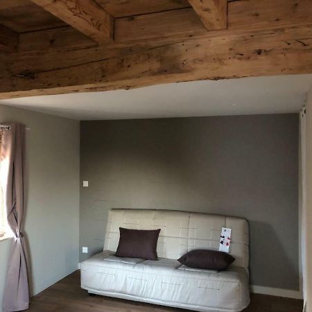 Domaine Des Dutreve Apartment Saint-Etienne-des-Oullieres Luaran gambar